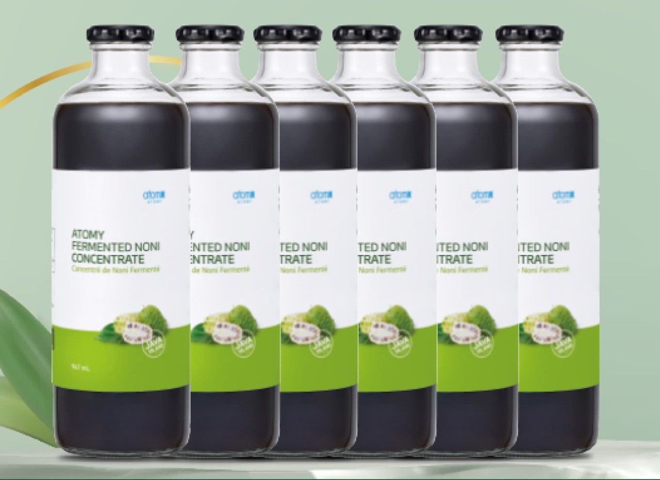 Fermented Noni Concentrate (Bottle) 6 Set